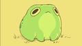 frog专辑