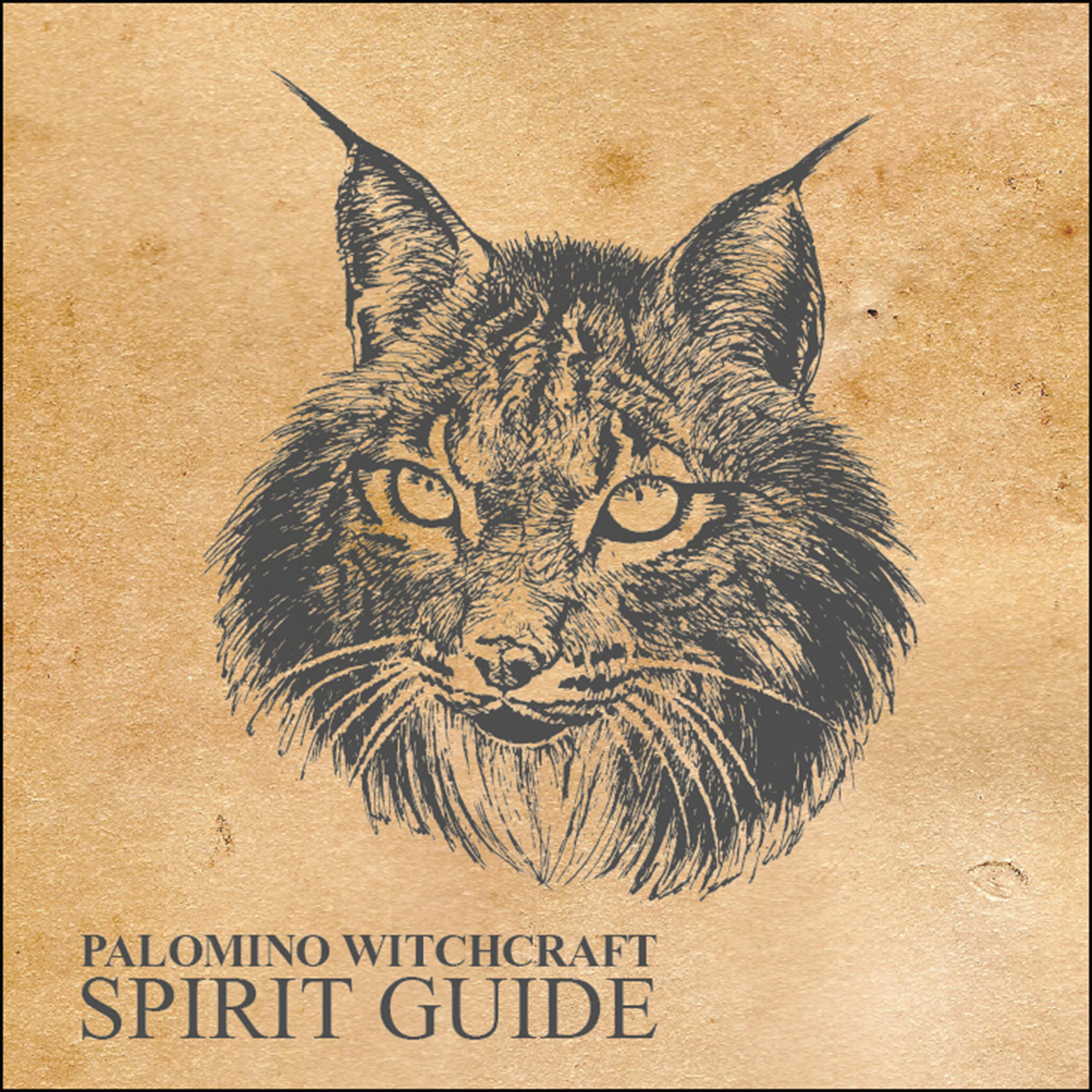 Spirit Guide