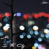SteLouse - The City (Bonus Track) (Instrumental) 无和声伴奏