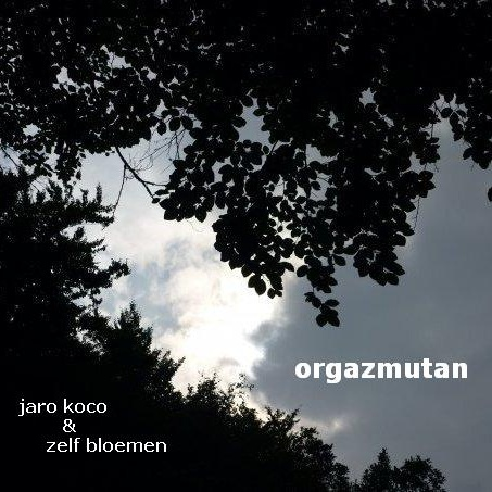 Orgazmutan