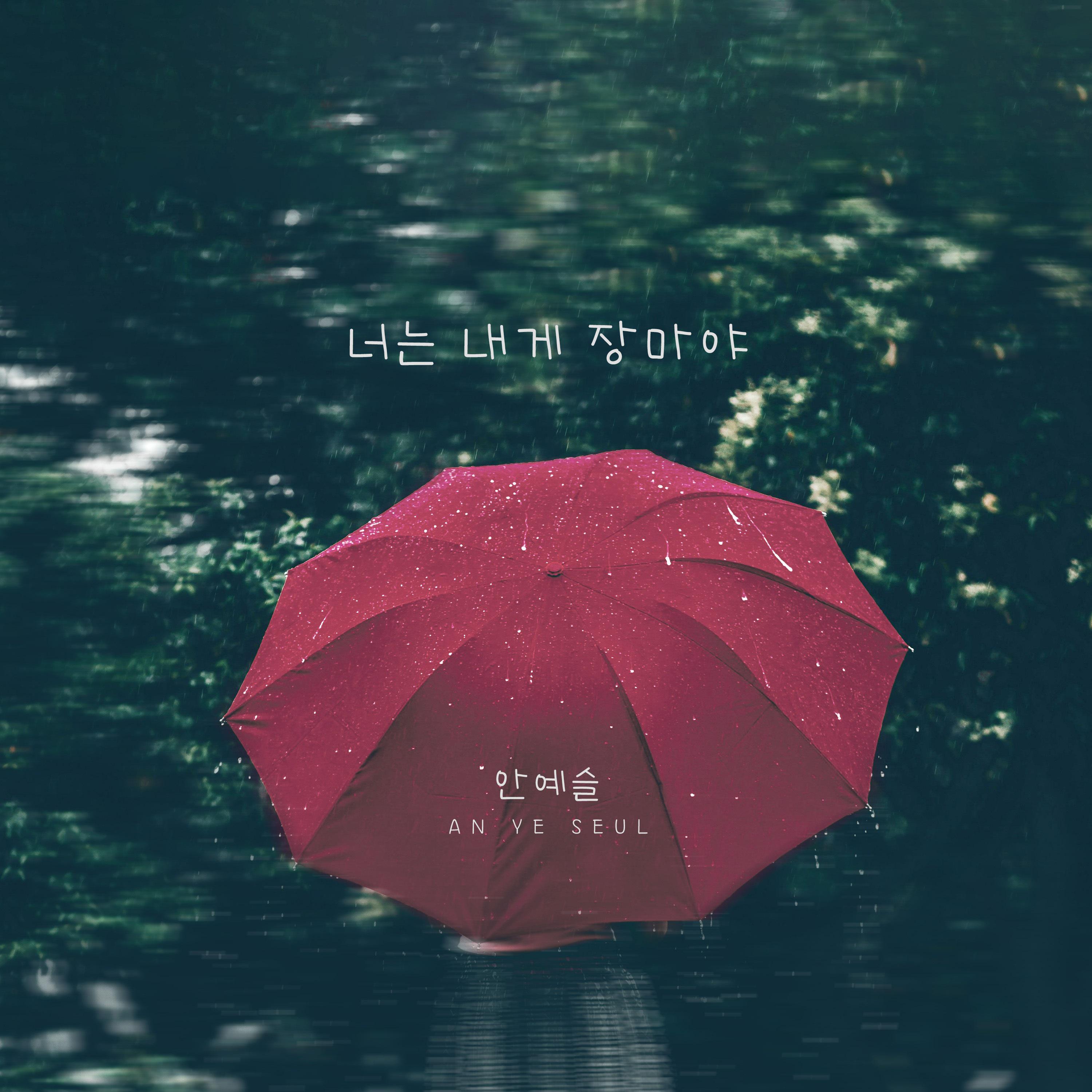 너는 내게 장마야专辑