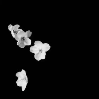 [说唱] 抑 郁 怪 物 - 持更