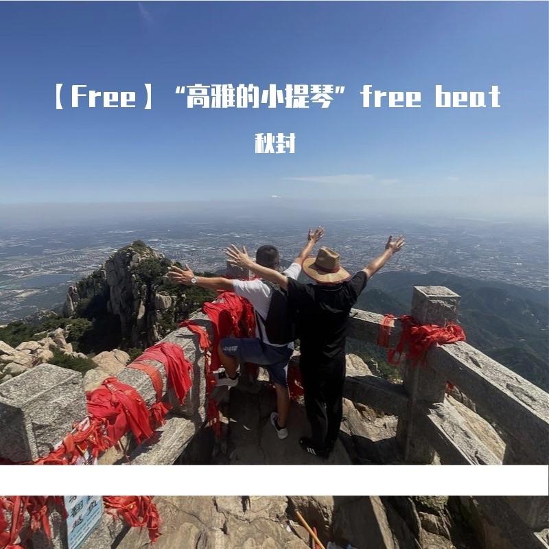 【Free】“高雅的小提琴”free beat