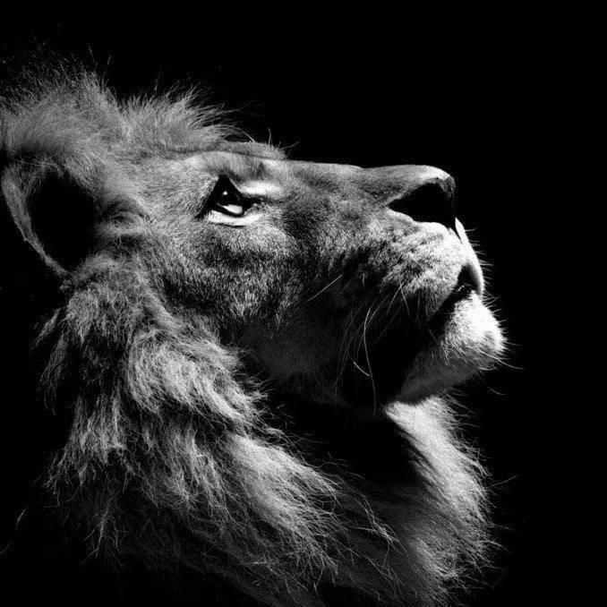 Since Istanbul Has Been