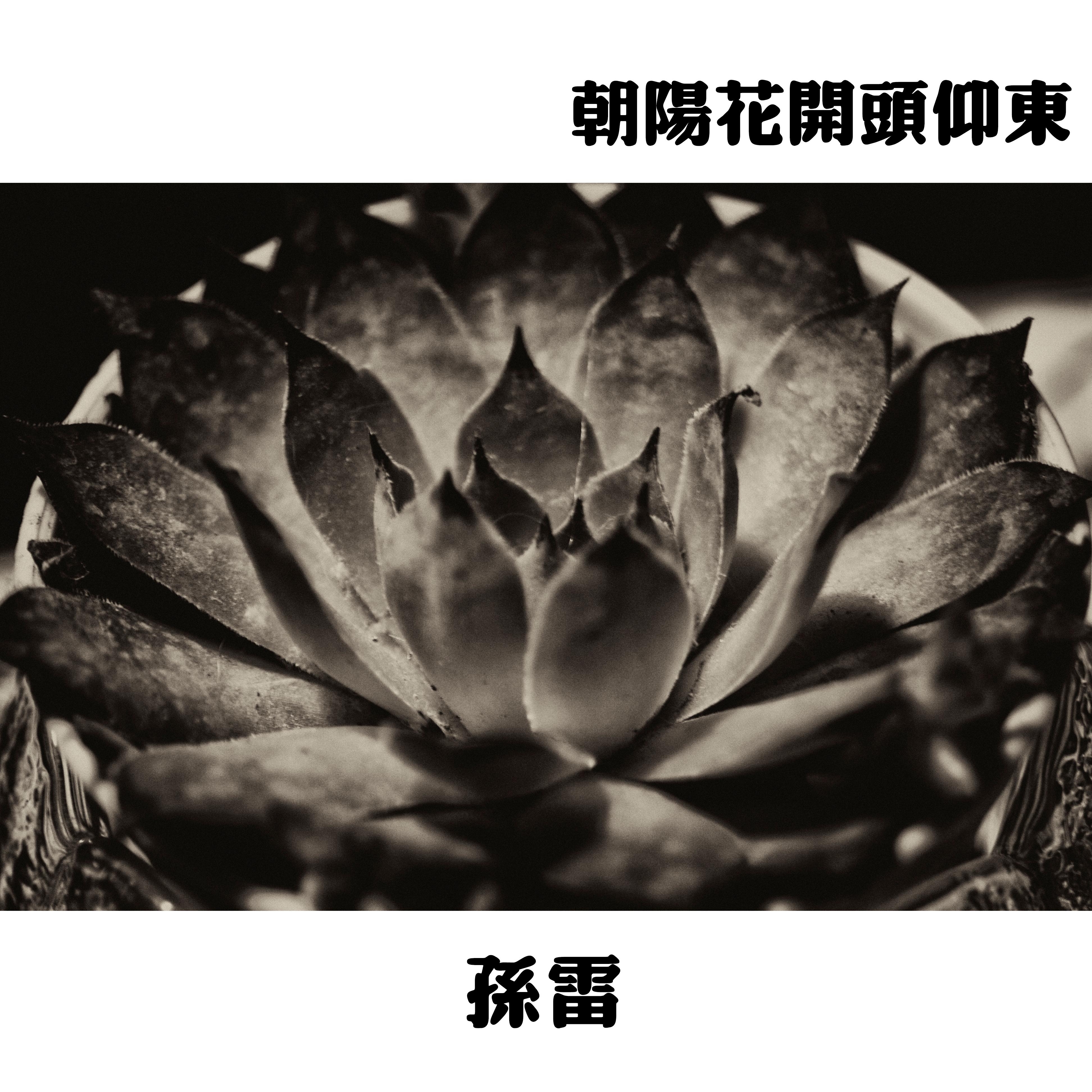 朝阳花开头仰东专辑