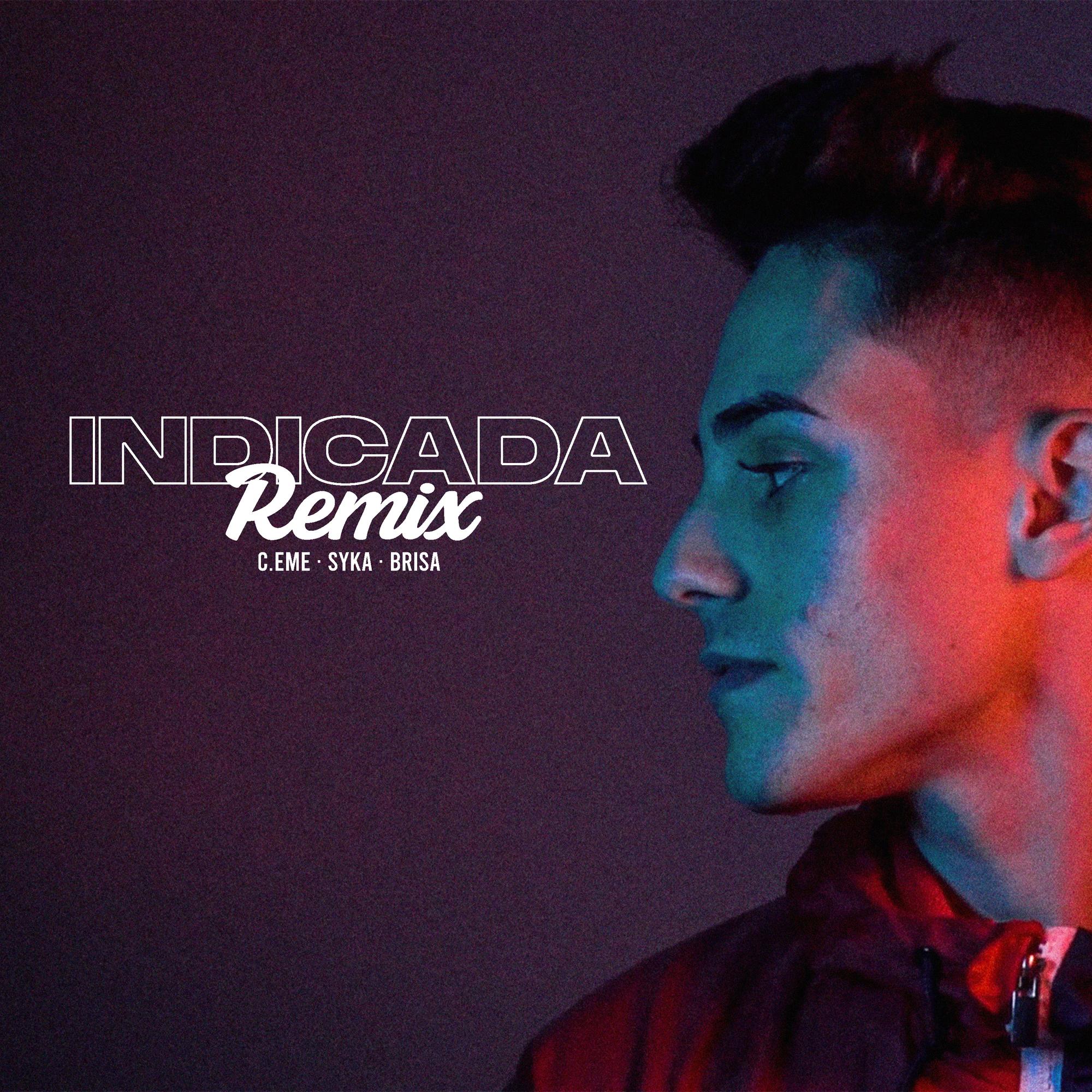 Indicada (Remix)