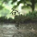 谷雨时来