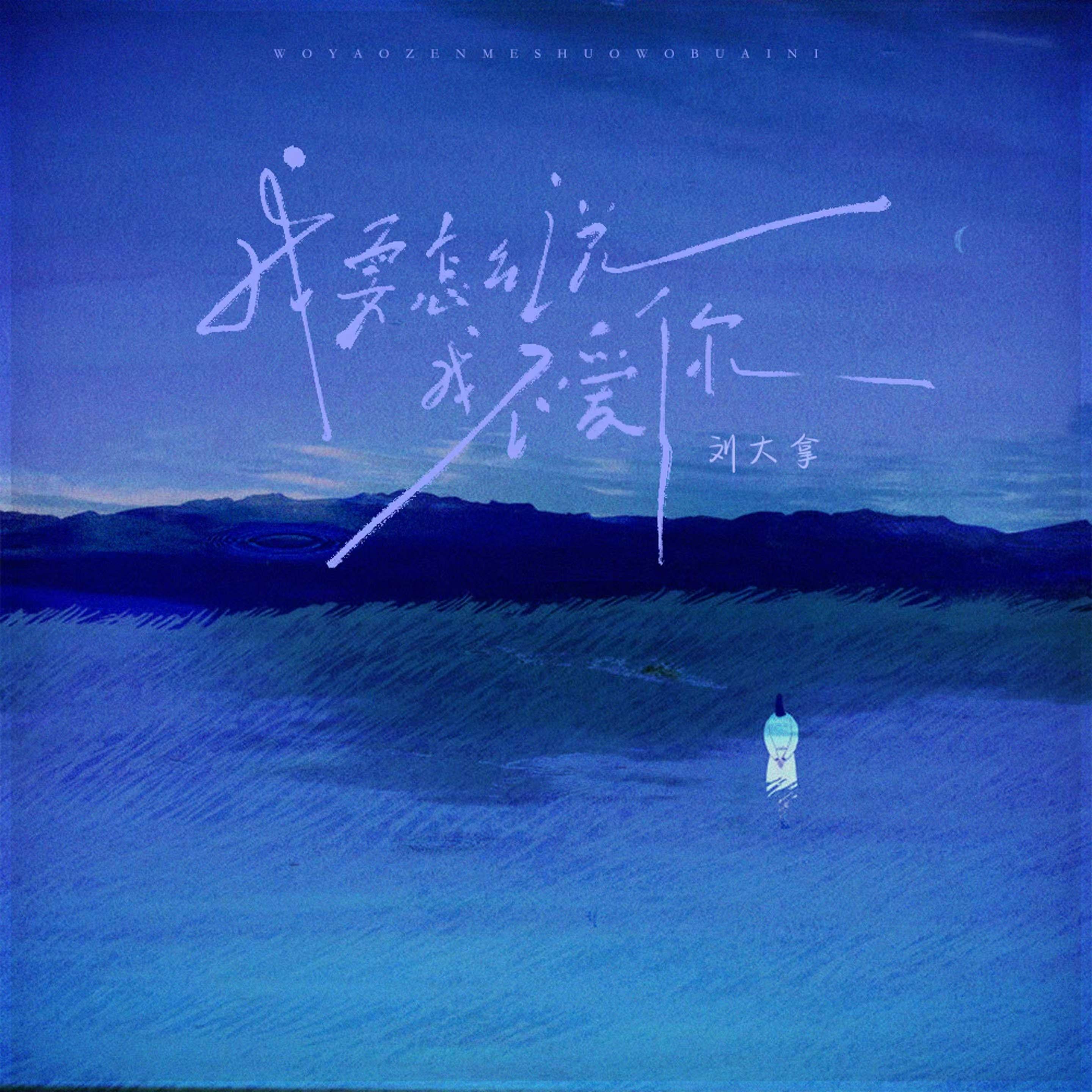 怎么说我不爱你