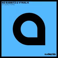 Vynal K - The Message