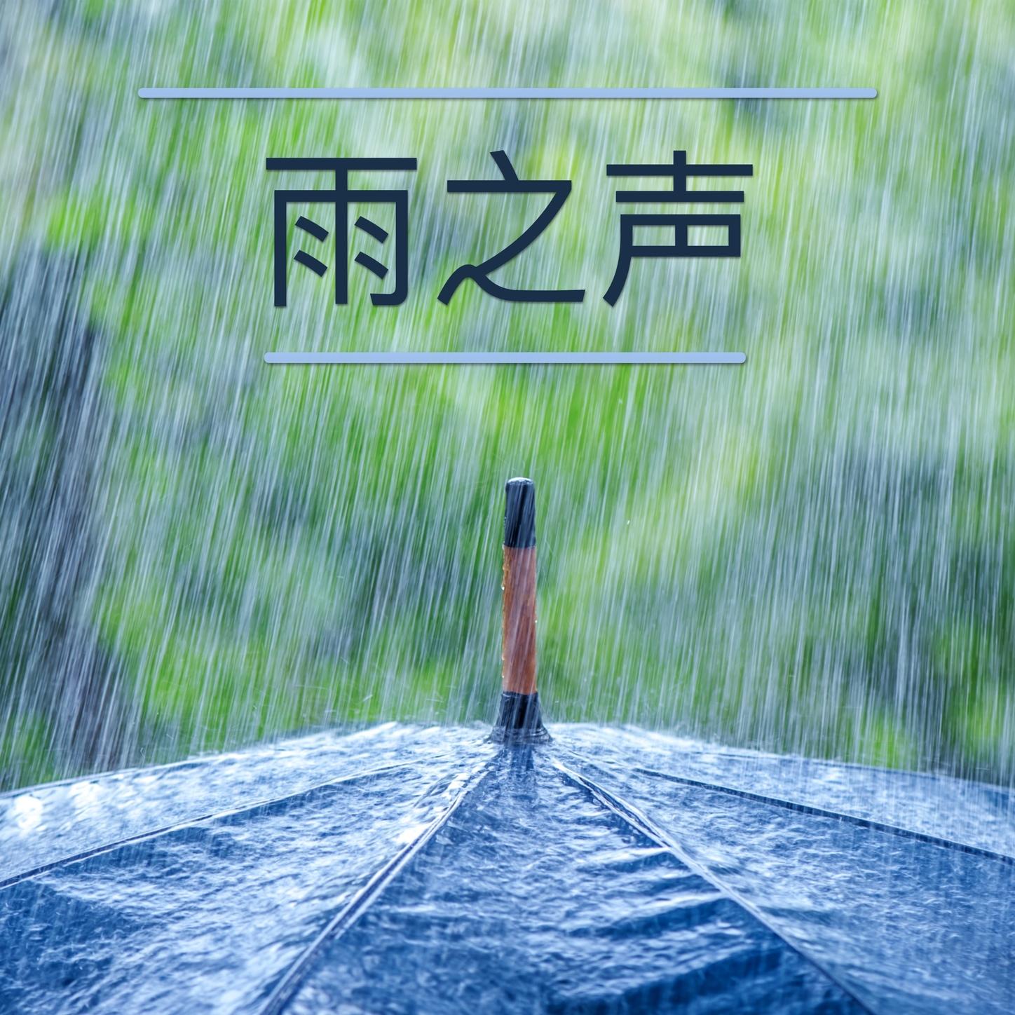 雨声-白噪声，大自然的声音和轻柔的器乐