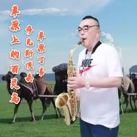 草原上的百灵鸟bE（中音伴奏）