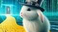 Follow The White Rabbit专辑