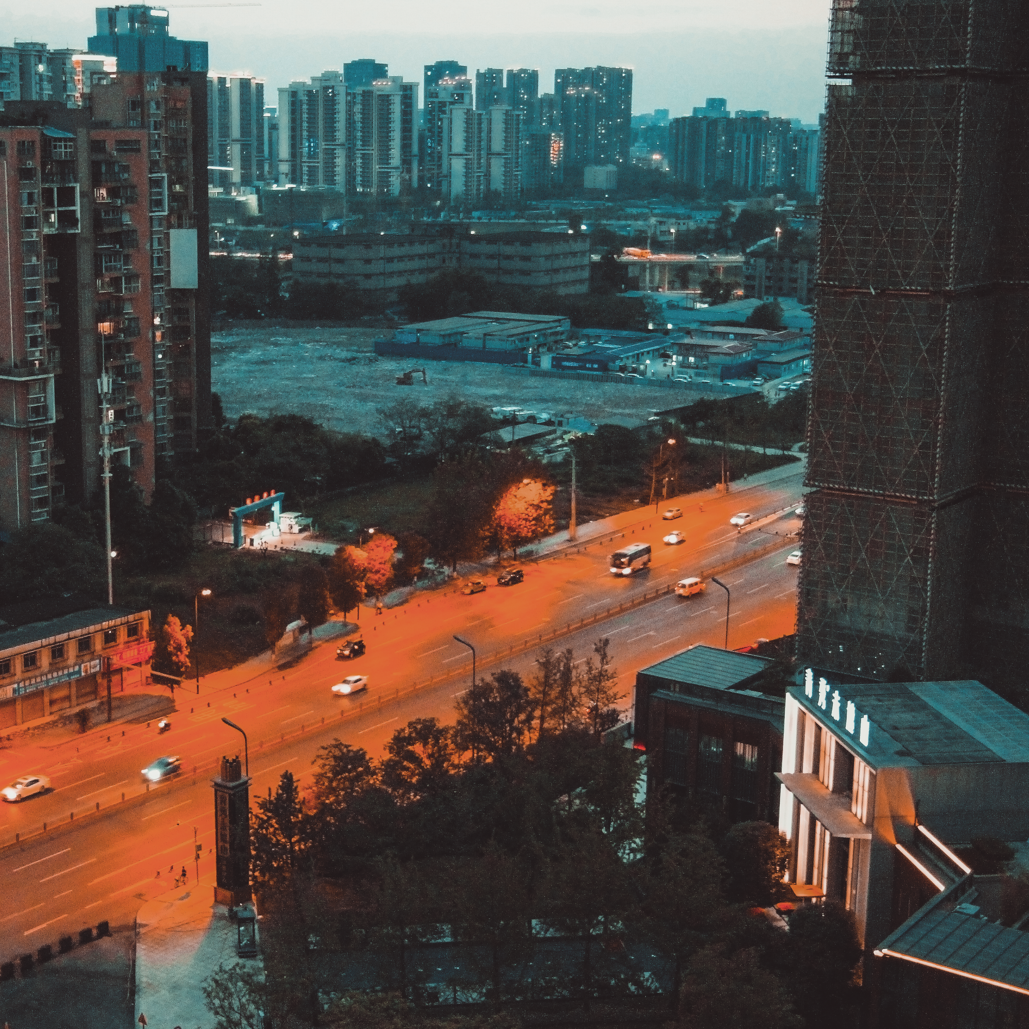 纽曼