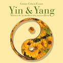 Yin & Yang: Música de la meditación maravillosa专辑
