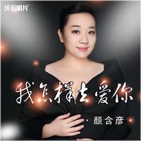 我怎么去爱你(钢琴伴奏)