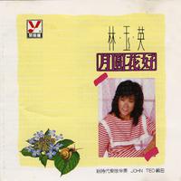 林玉英 - 茫茫的人生(原版伴奏)