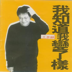 阿美阿美1994