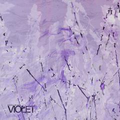 Violet (紫罗兰)