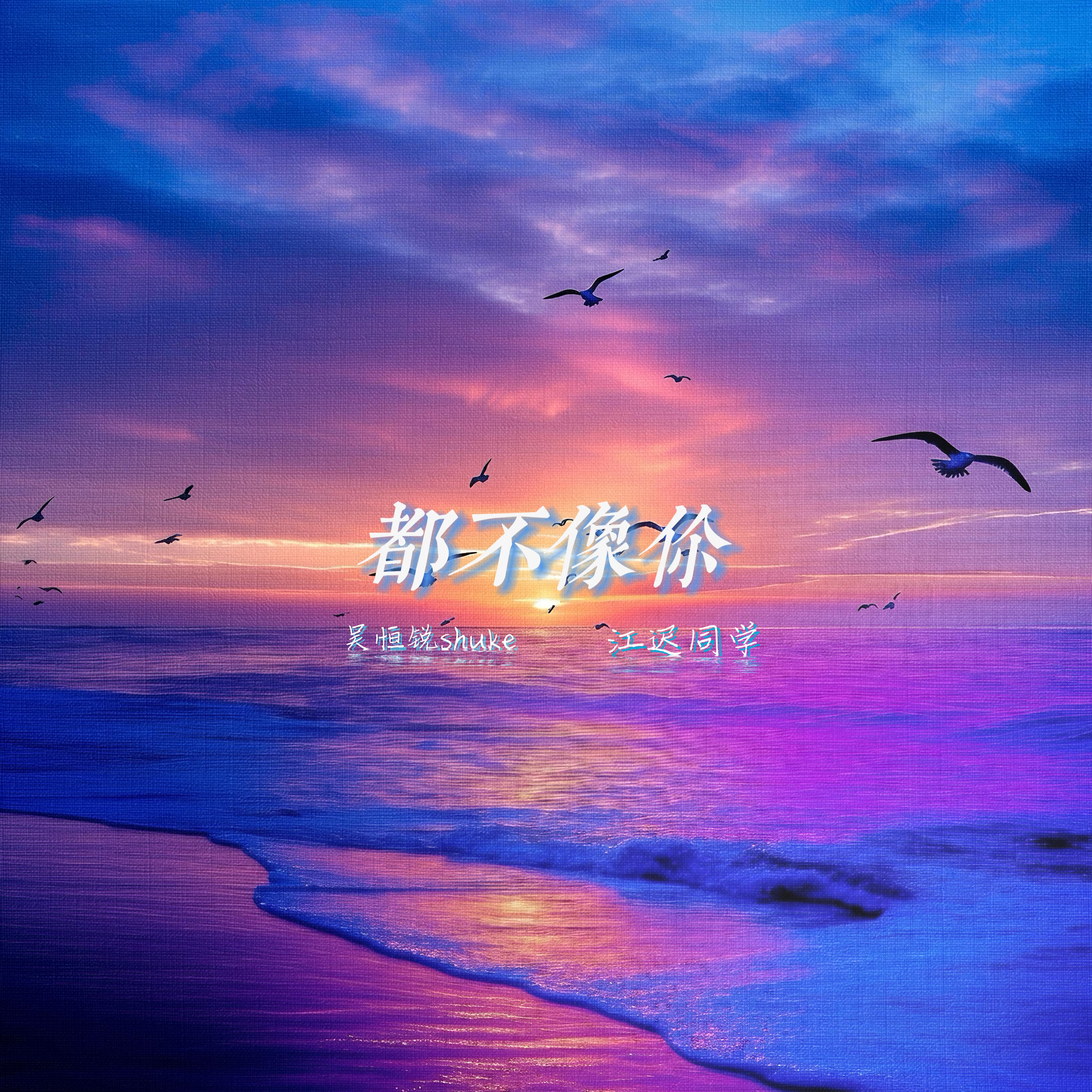 都不像你专辑