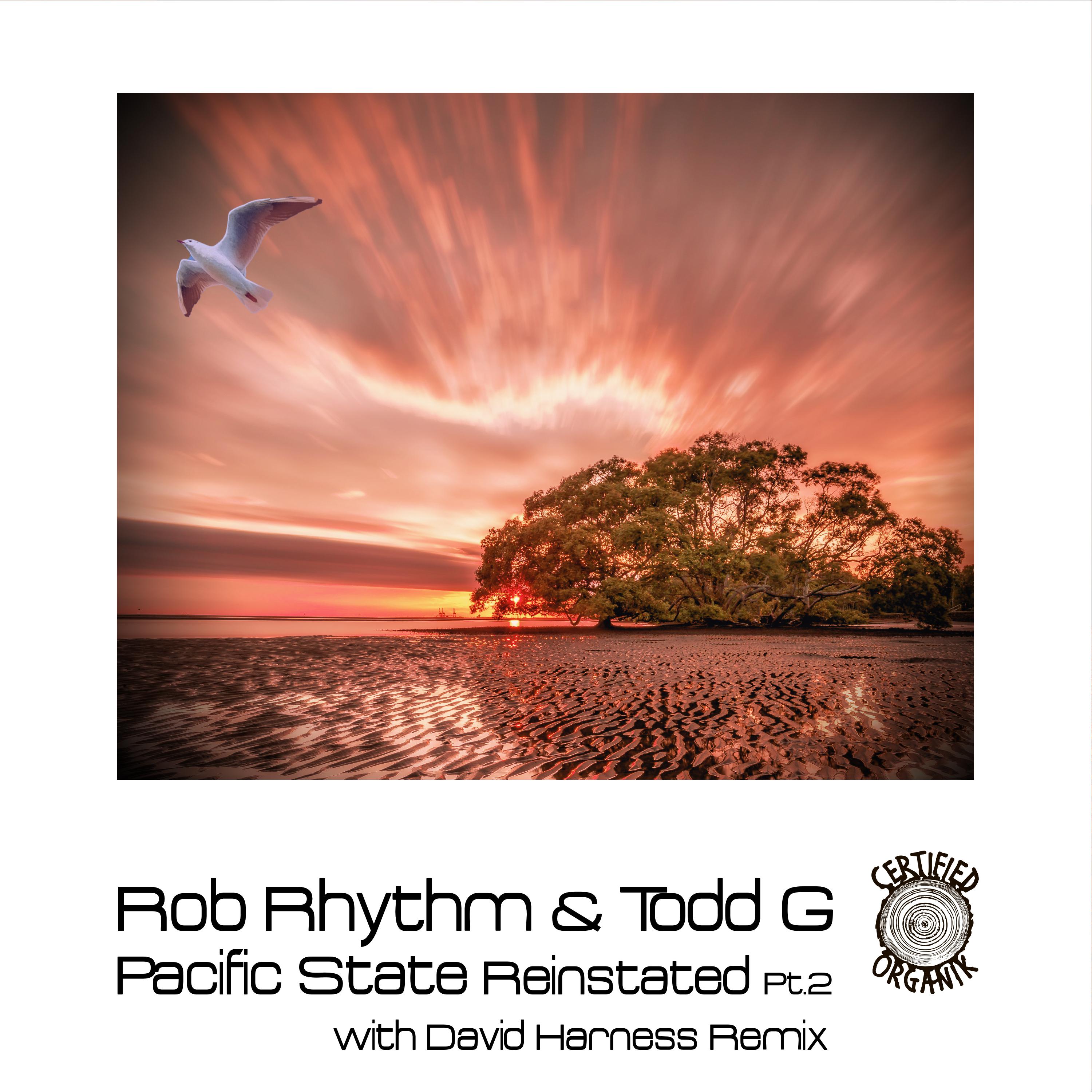 Rob Rhythm - Pacific State Reinstated Pt.2 (Rob's Original Concept Mix)