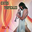 Exitos Tropicales Vol. 4专辑