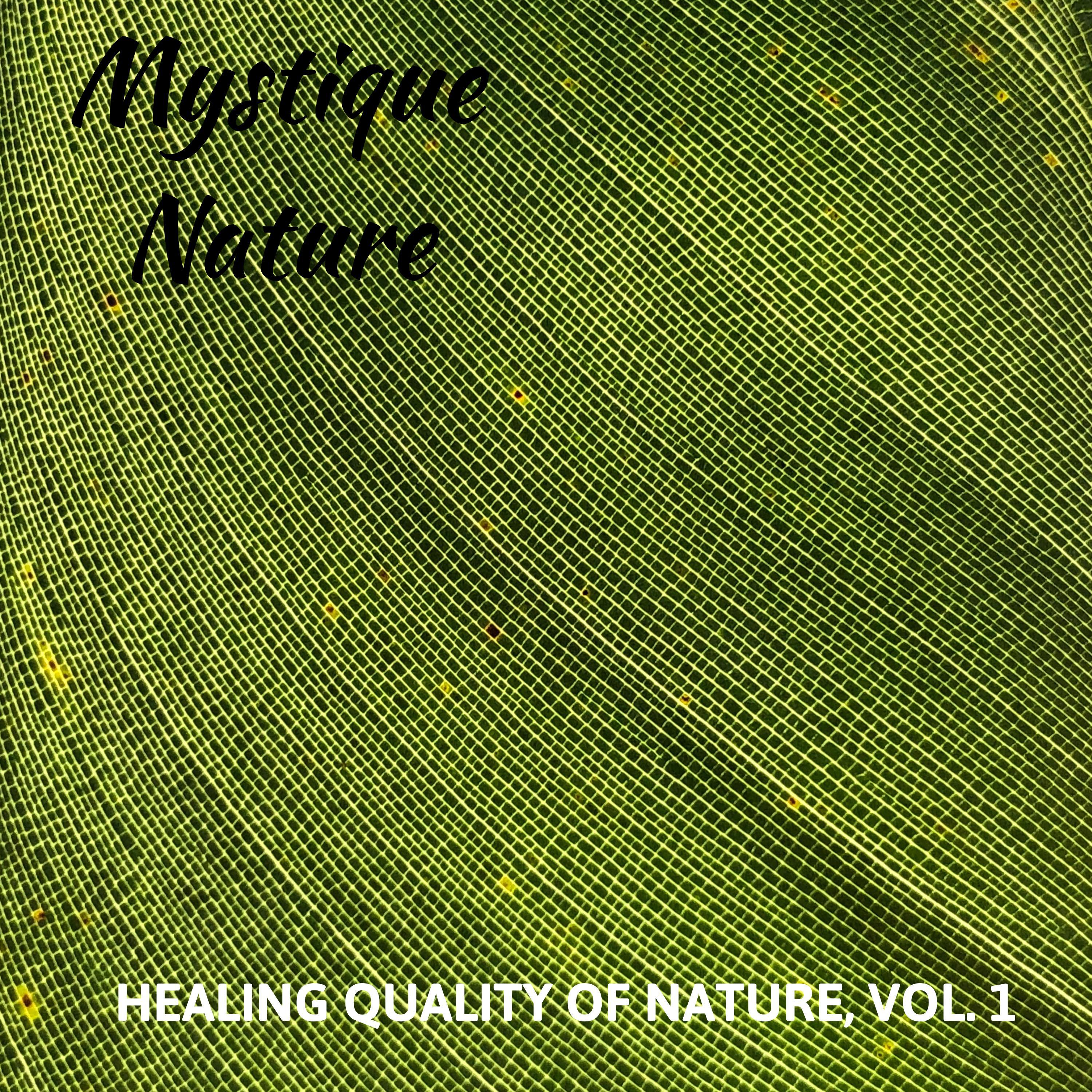 Holly Waves Nature Sound Library - Hurricane Blissful Sound