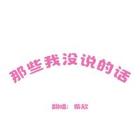 那些我没说的话