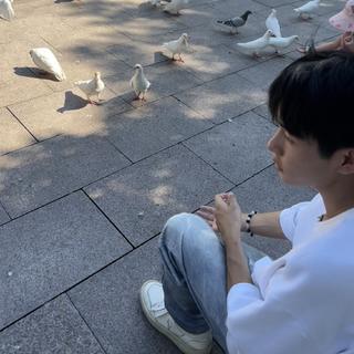 伍六七‖合集歌单 | 更新中，不懂他