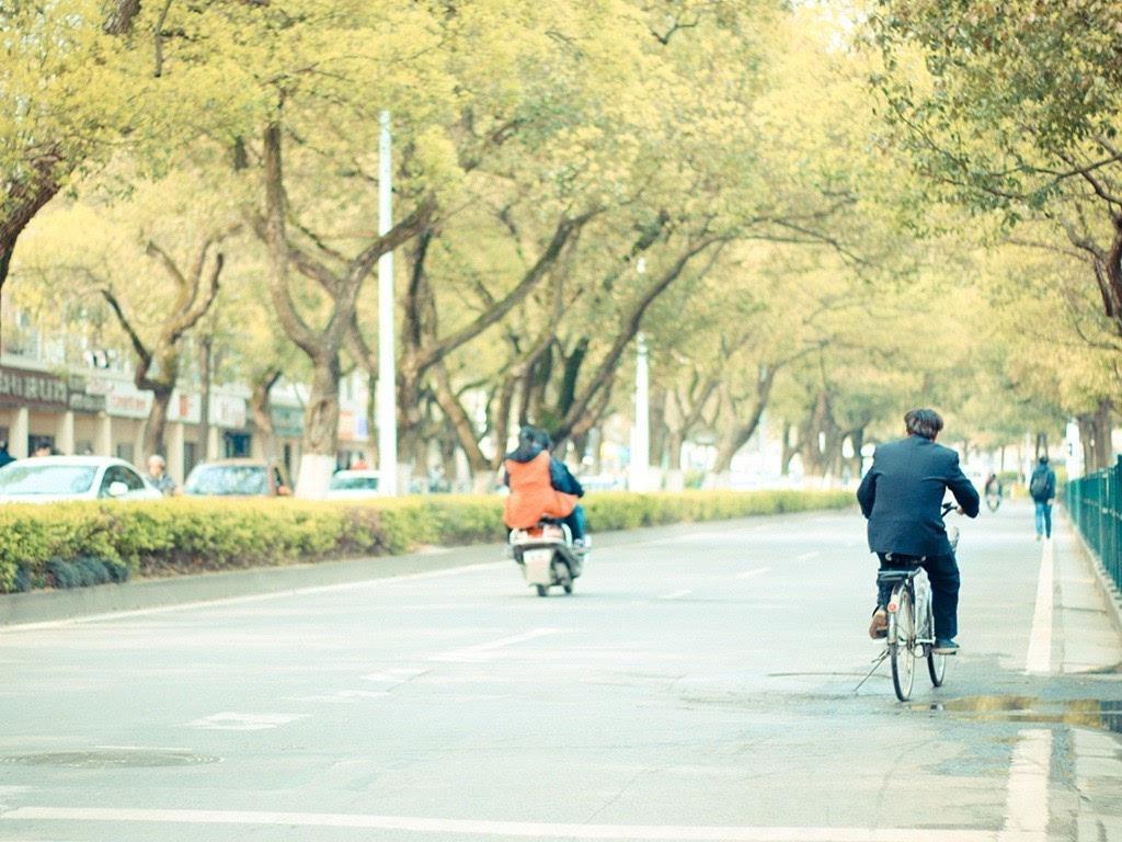 麓山南路的想念专辑