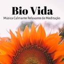 Bio Vida - Música Calmante Relaxante de Meditação Chakras para Ocasião Especial Treinamento Mental S专辑