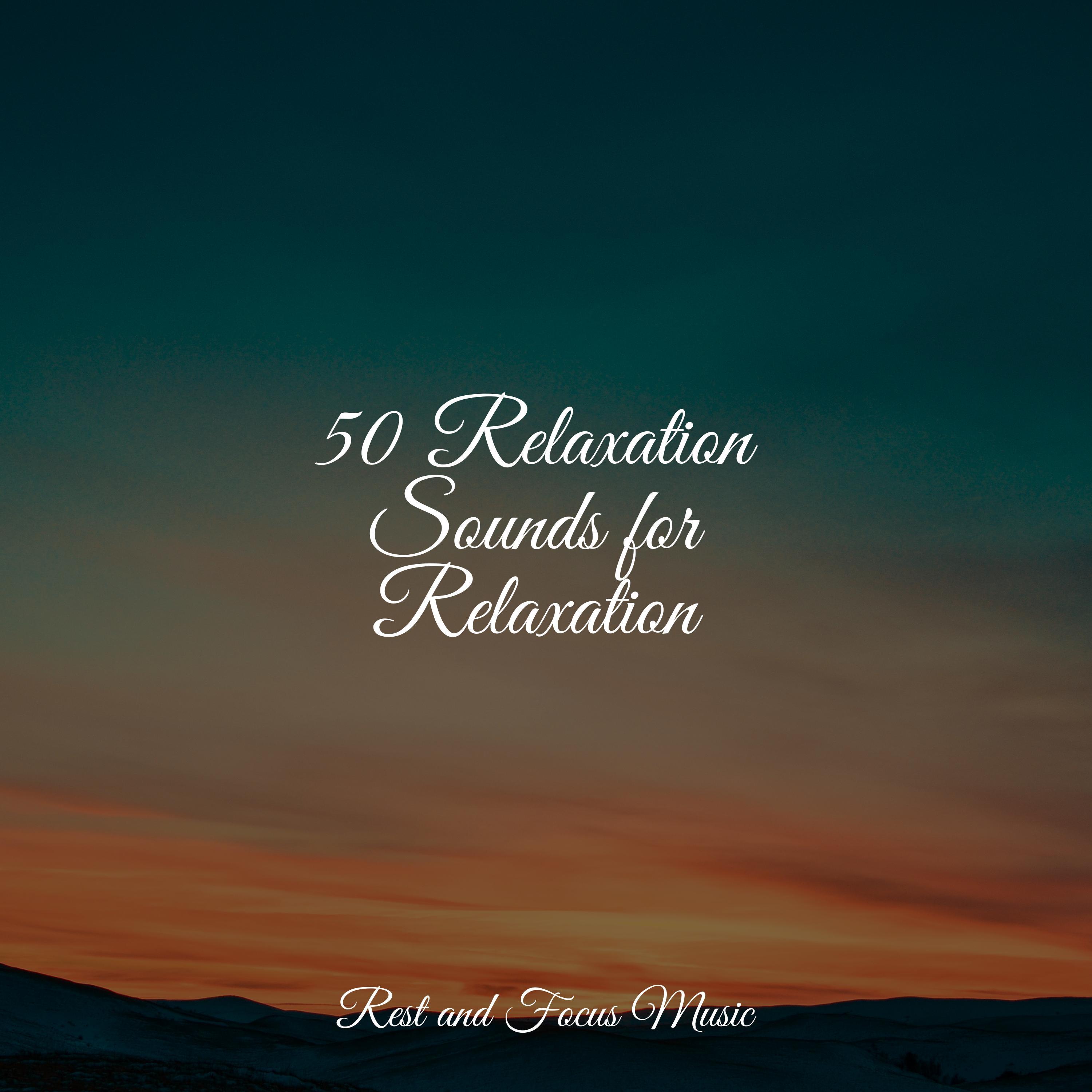 50 Relaxation Sounds for Relaxation - Relaxing Sleep Music - 专辑 - 网易云音乐