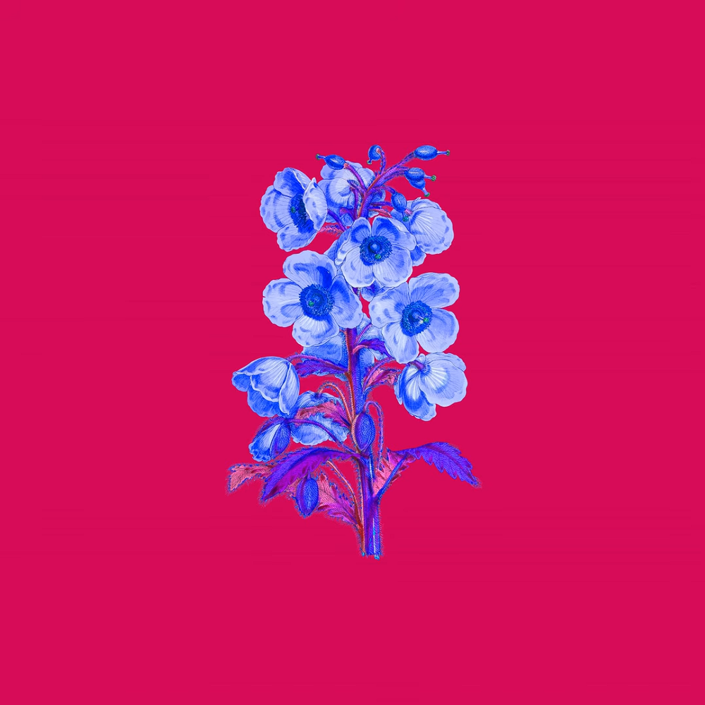 圧倒的なアイラブユー(feat. 重音テト)