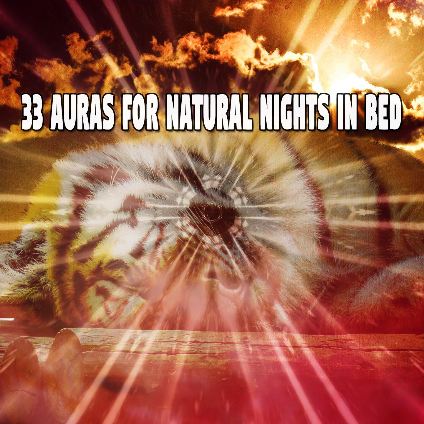 33 Auras For Natural Nights In Bed专辑