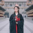 紫嘉儿的《夜宴风波》