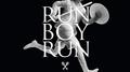 Run Boy Run专辑