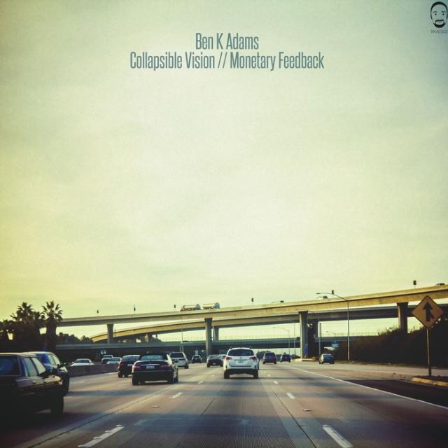 Collapsible Vision // Monetary Feedback