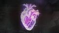 Extroverted Lovers专辑