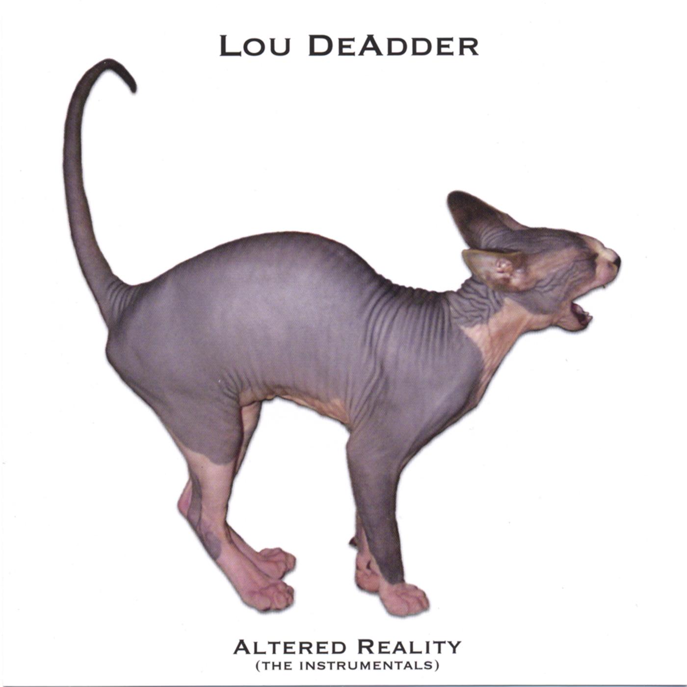Altered Reality (The Instrumentals)