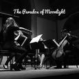 The Paradox of Moonlight (Live)