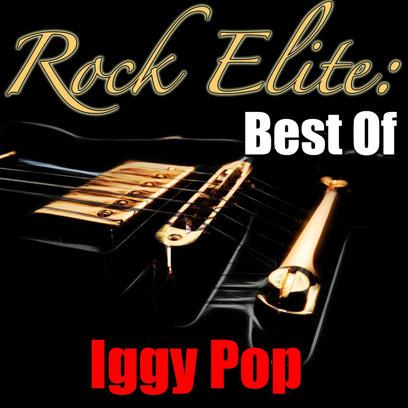 Rock Elite: Best Of Iggy Pop专辑