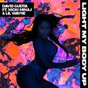 Light My Body Up (feat. Nicki Minaj & Lil Wayne)专辑