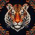 北京老虎队PekingTigers