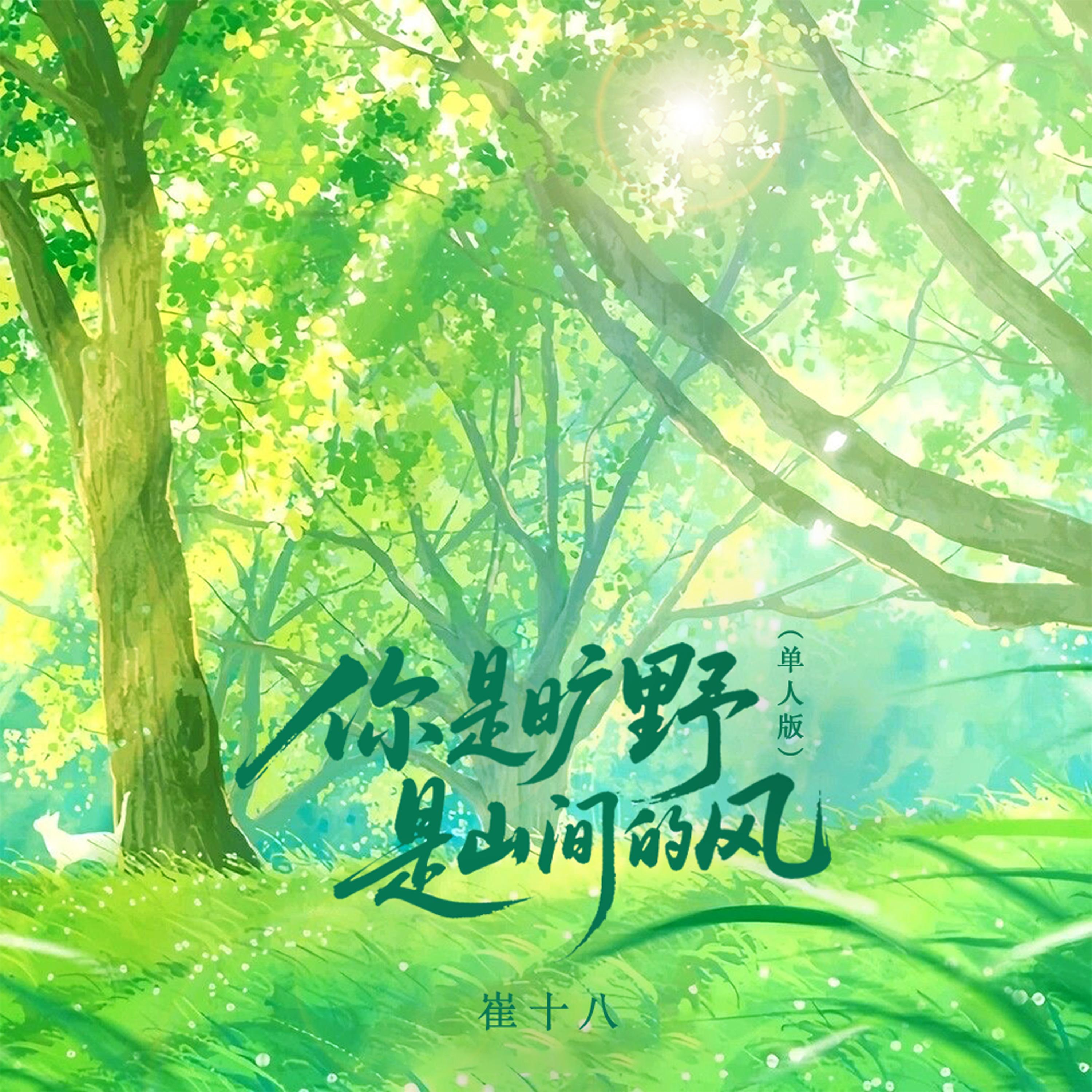 你是旷野 是山间的风 (单人版)