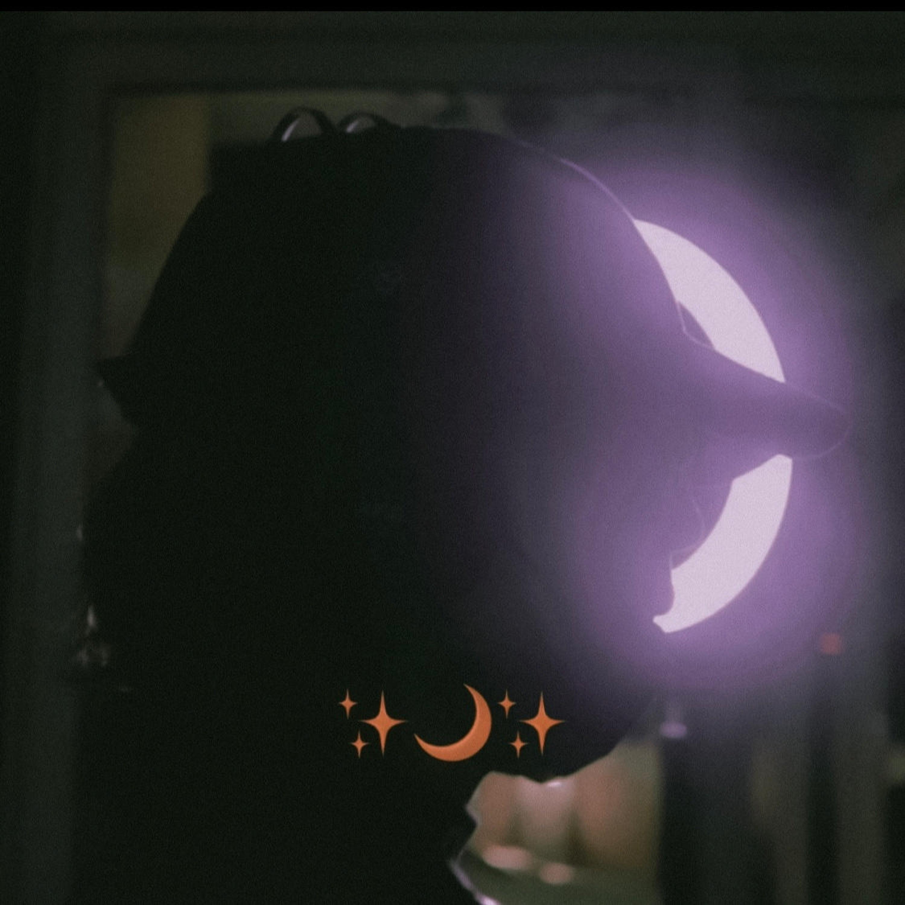Moonlight (feat. Lil Milk)