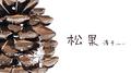 松 果专辑