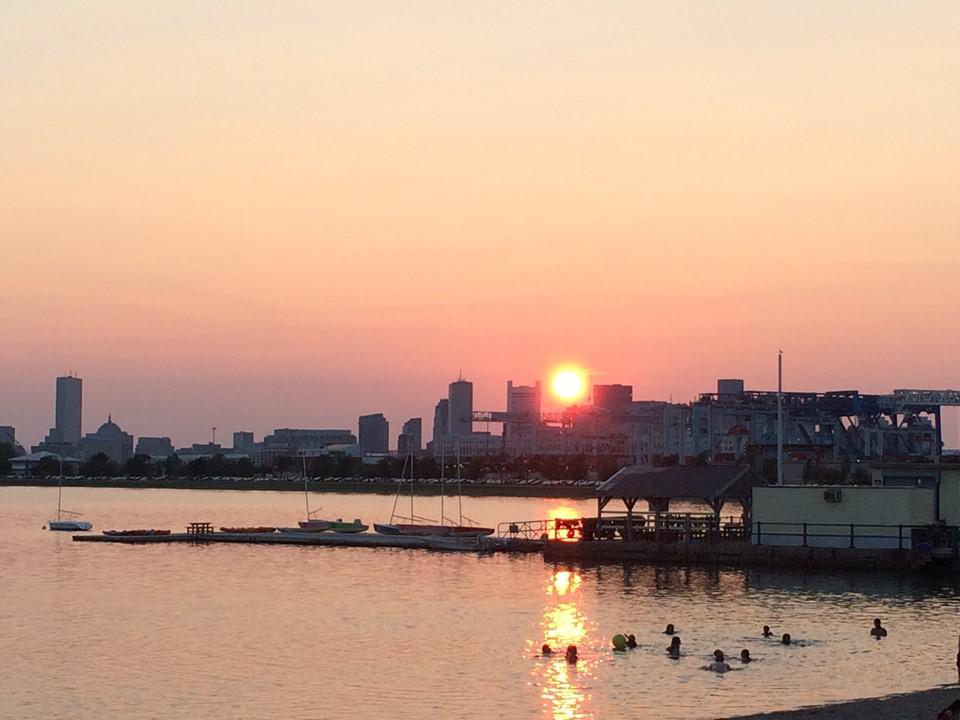 朝花夕拾随想集专辑