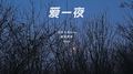 爱一夜专辑