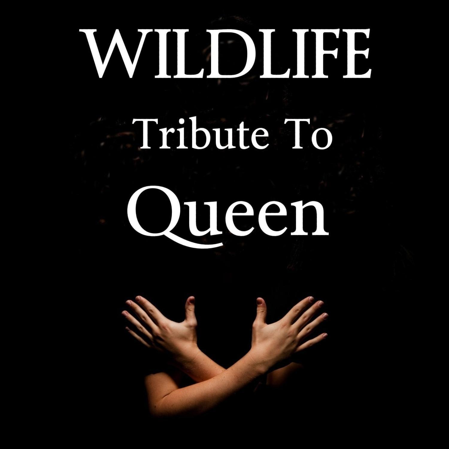 Tribute to Queen