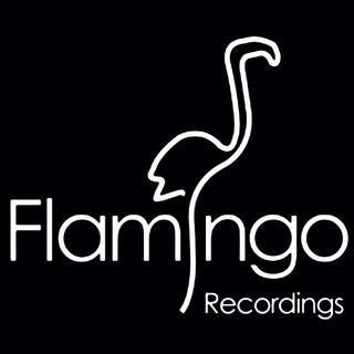 电音厂牌-Flamingo