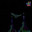 Night Flying